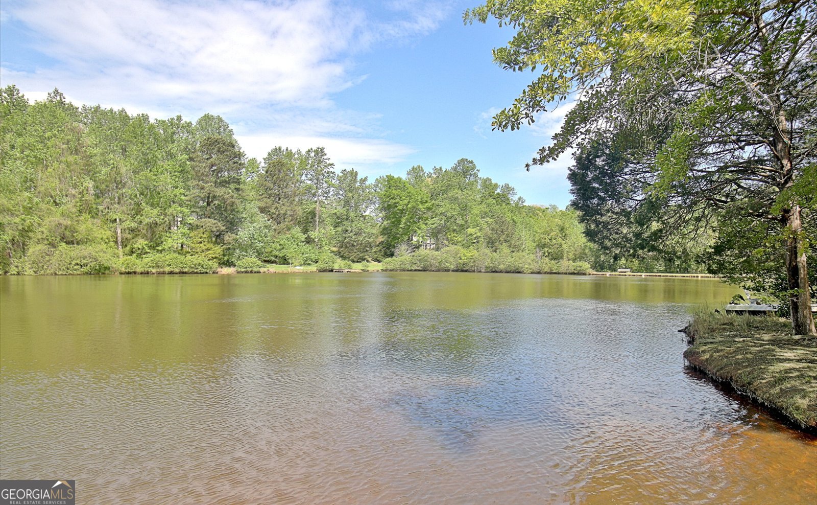 110 Sunset Court Senoia - Photo 111