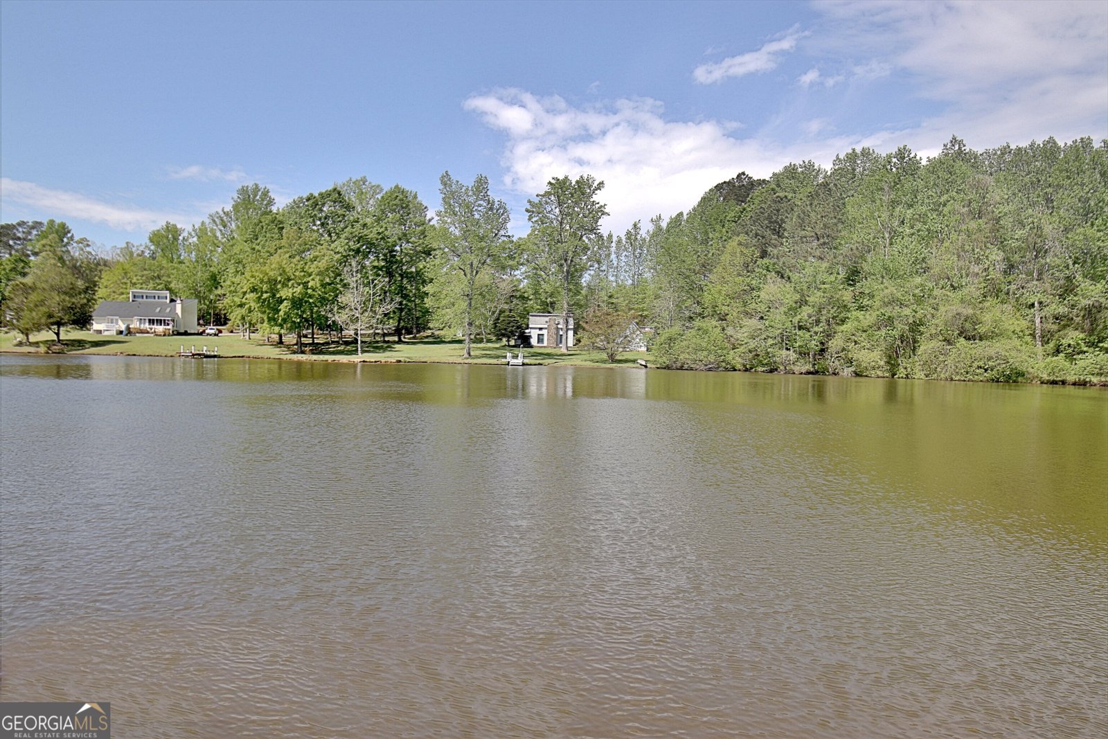 110 Sunset Court Senoia - Photo 112