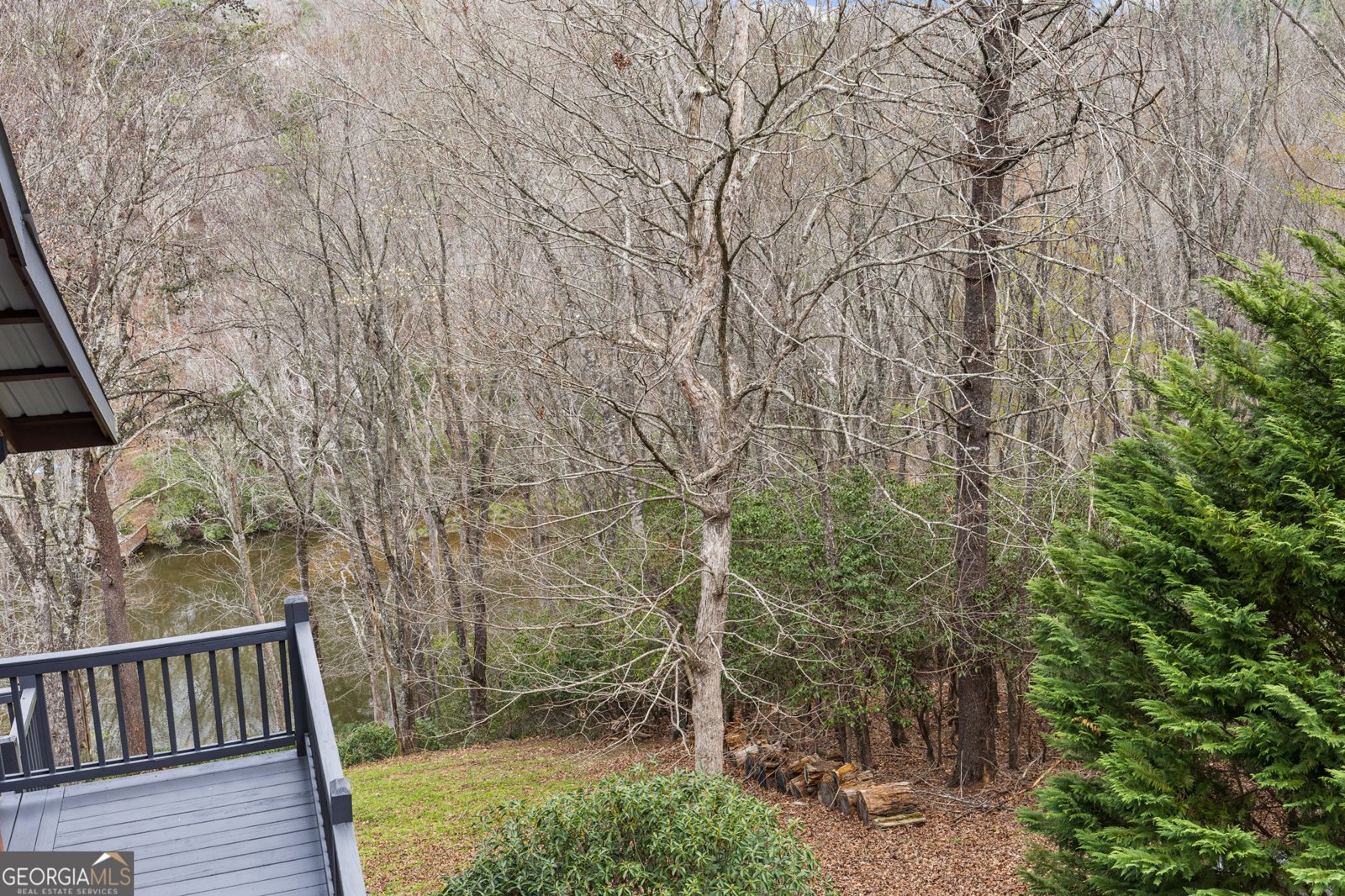 160 Adams Circle Mineral Bluff - Photo 12