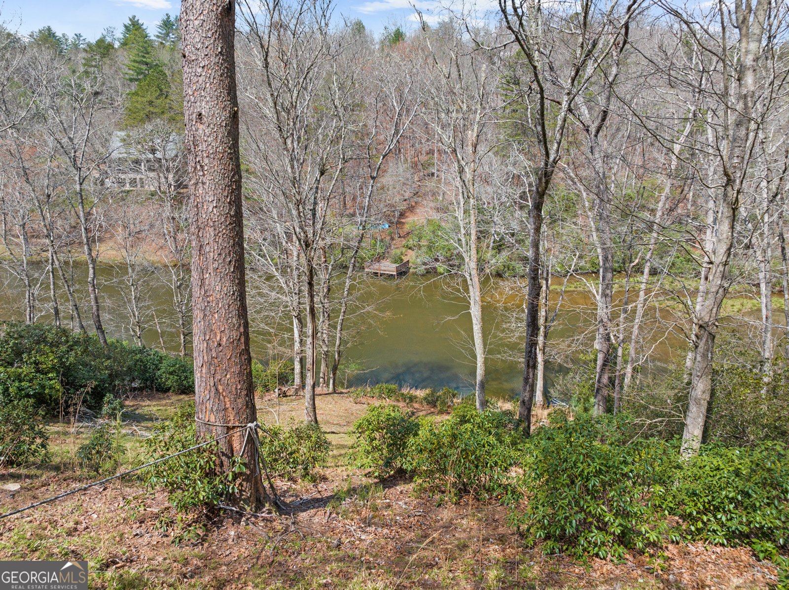 160 Adams Circle Mineral Bluff - Photo 22