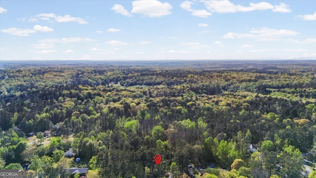 80 Highland Drive Tallapoosa - Photo 61