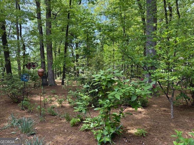 318 The Chace Atlanta - Photo 9