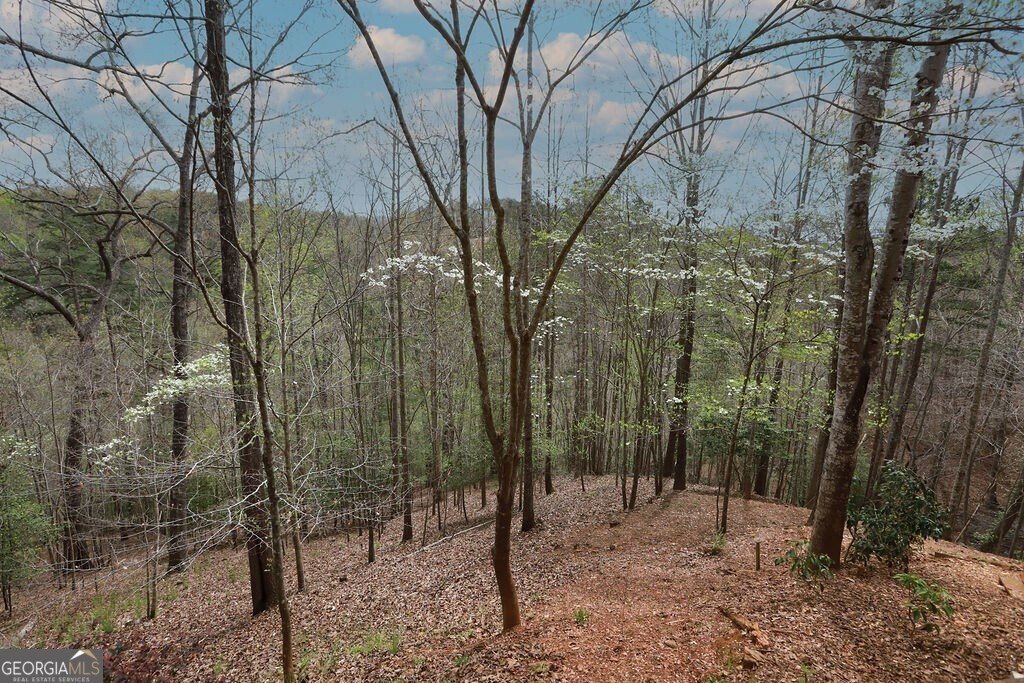 120 Bear Den Road Dahlonega - Photo 54