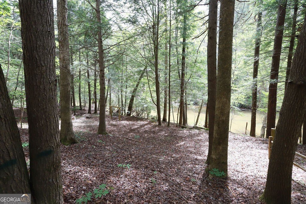 120 Bear Den Road Dahlonega - Photo 66