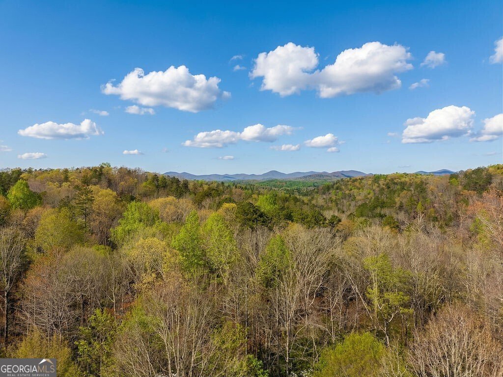 120 Bear Den Road Dahlonega - Photo 69