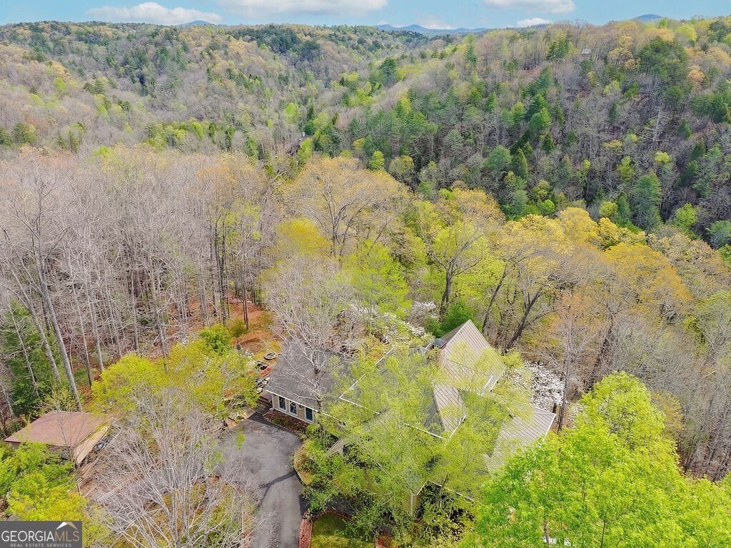 120 Bear Den Road Dahlonega - Photo 70