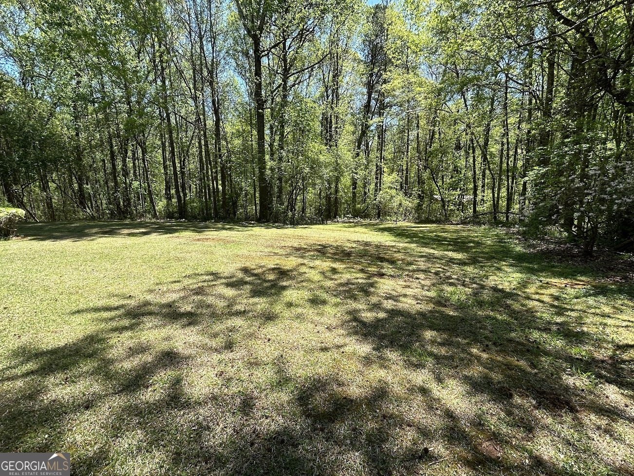 84 Trellis Court Carrollton - Photo 9