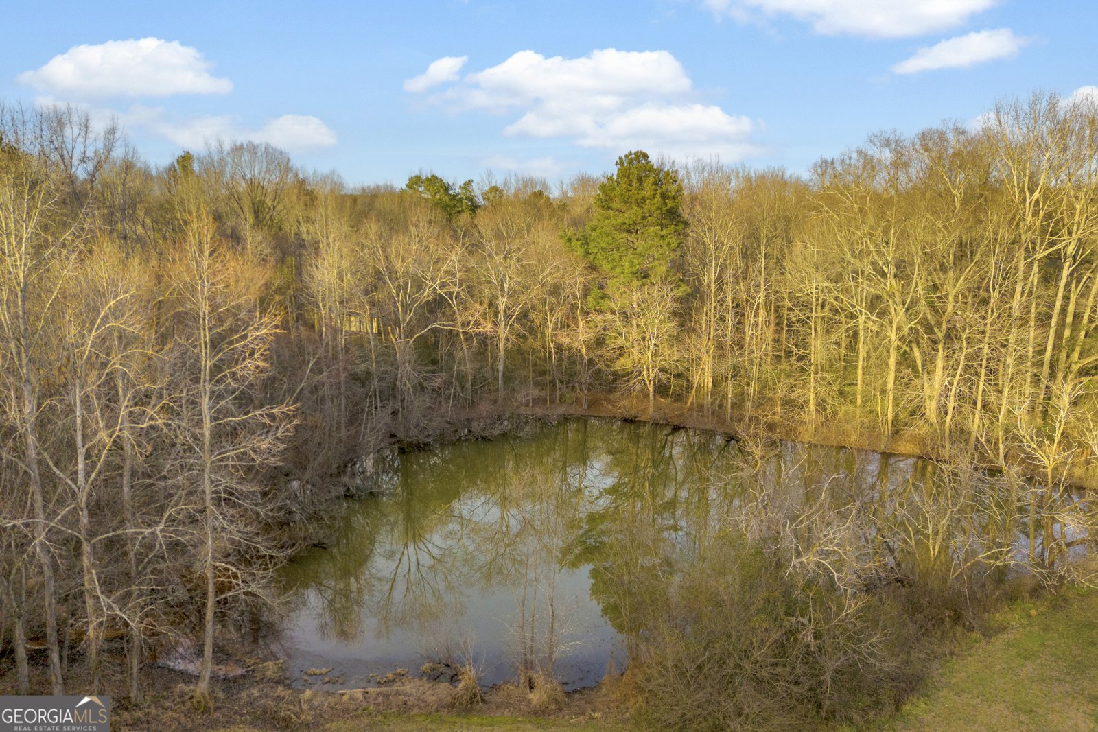 163 Ridgeland Drive Maysville - Photo 31