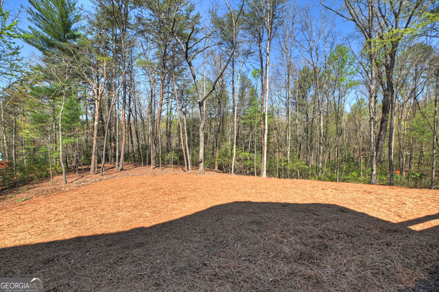375 Seneca Drive Ellijay - Photo 41