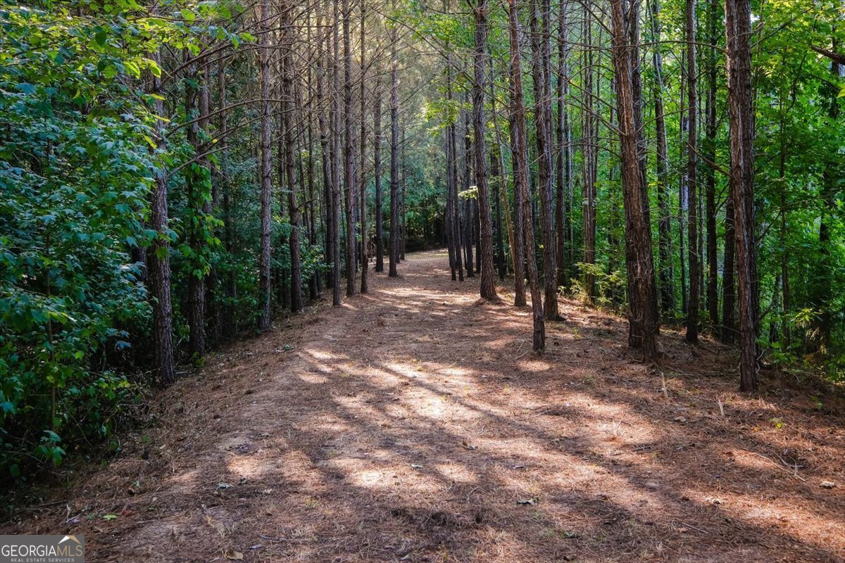 727 Latrobe Way Macon - Photo 61