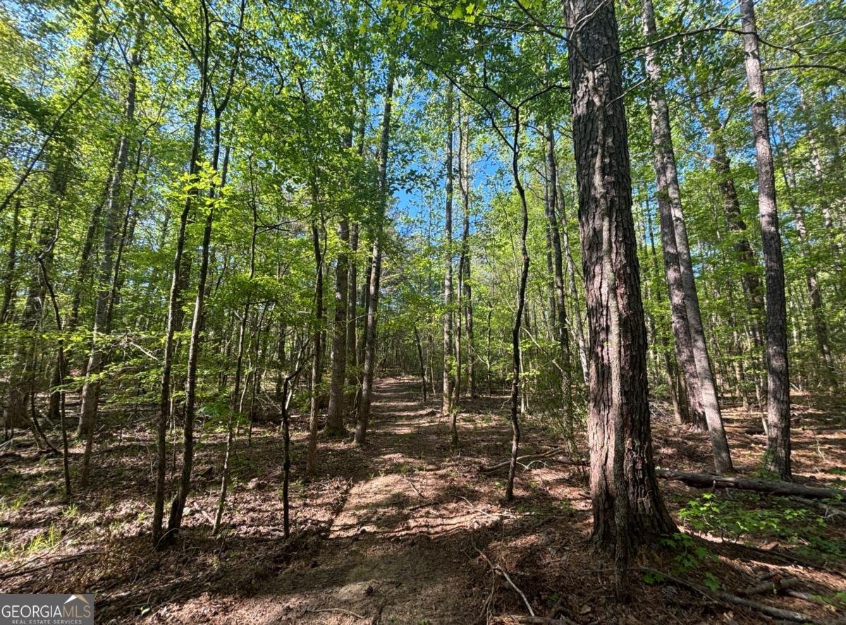 3148 Trammell Bottom Road Hogansville - Photo 6