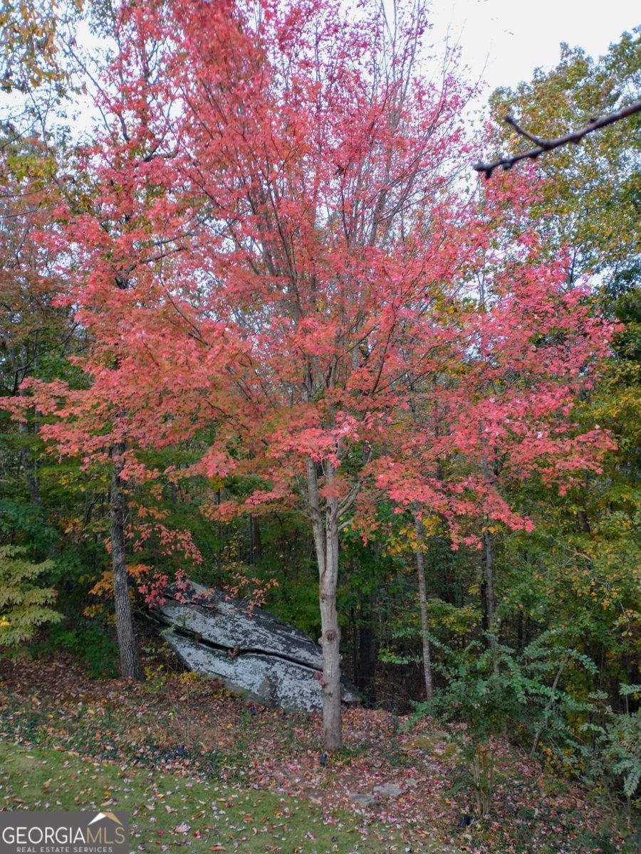 7451 Shady Glen Drive Flowery Branch - Photo 10