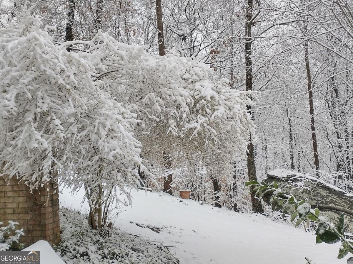 7451 Shady Glen Drive Flowery Branch - Photo 14