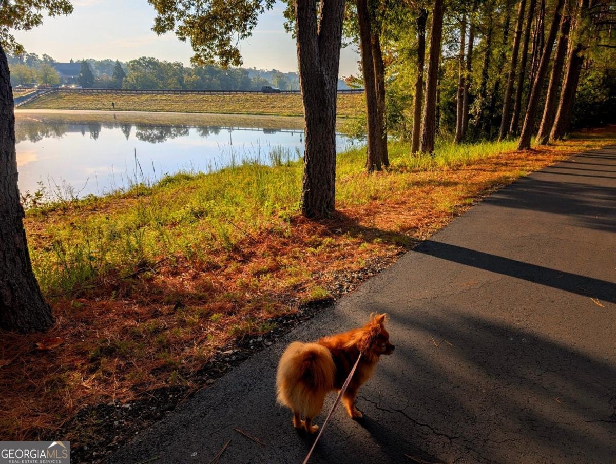 7451 Shady Glen Drive Flowery Branch - Photo 21