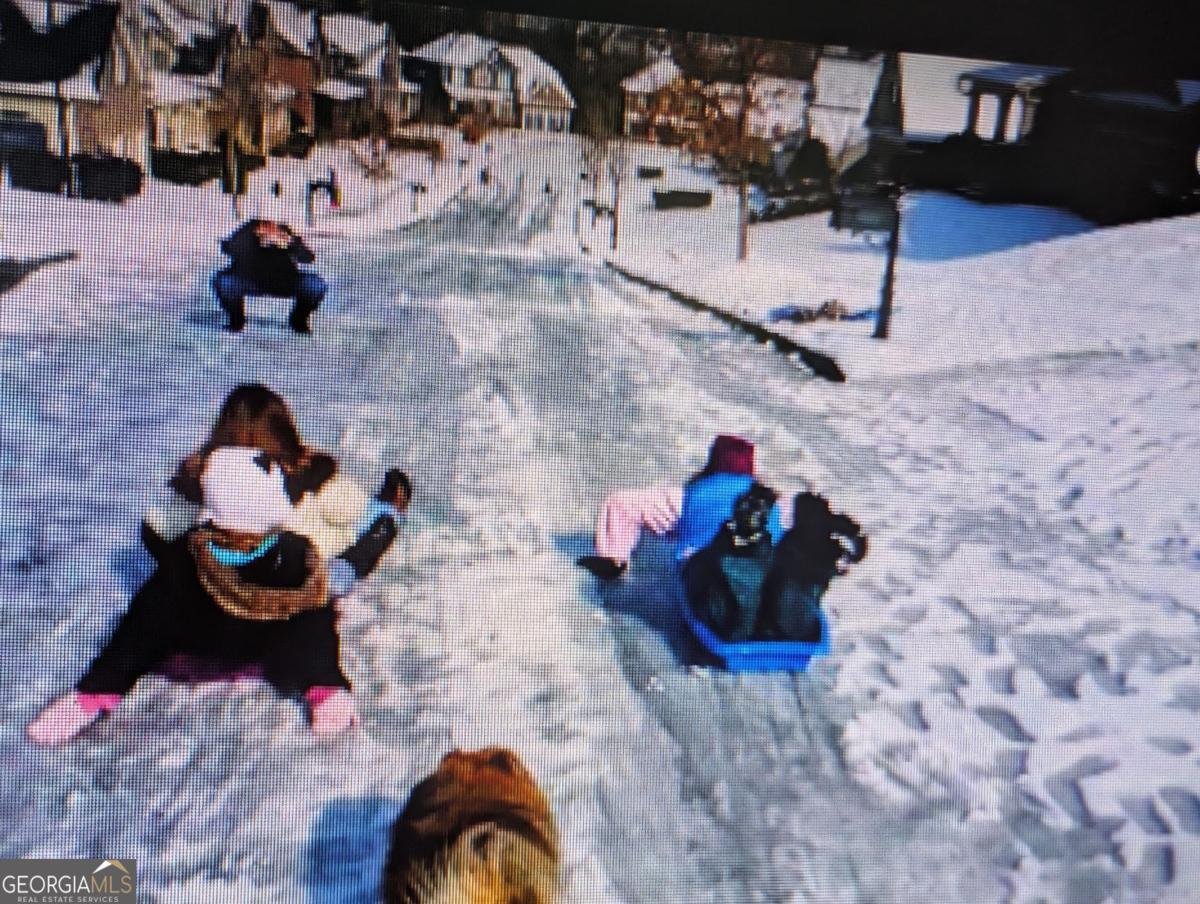7451 Shady Glen Drive Flowery Branch - Photo 53