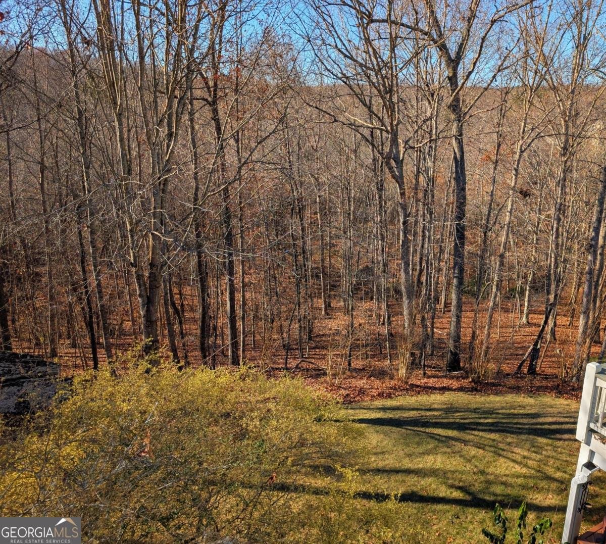 7451 Shady Glen Drive Flowery Branch - Photo 55