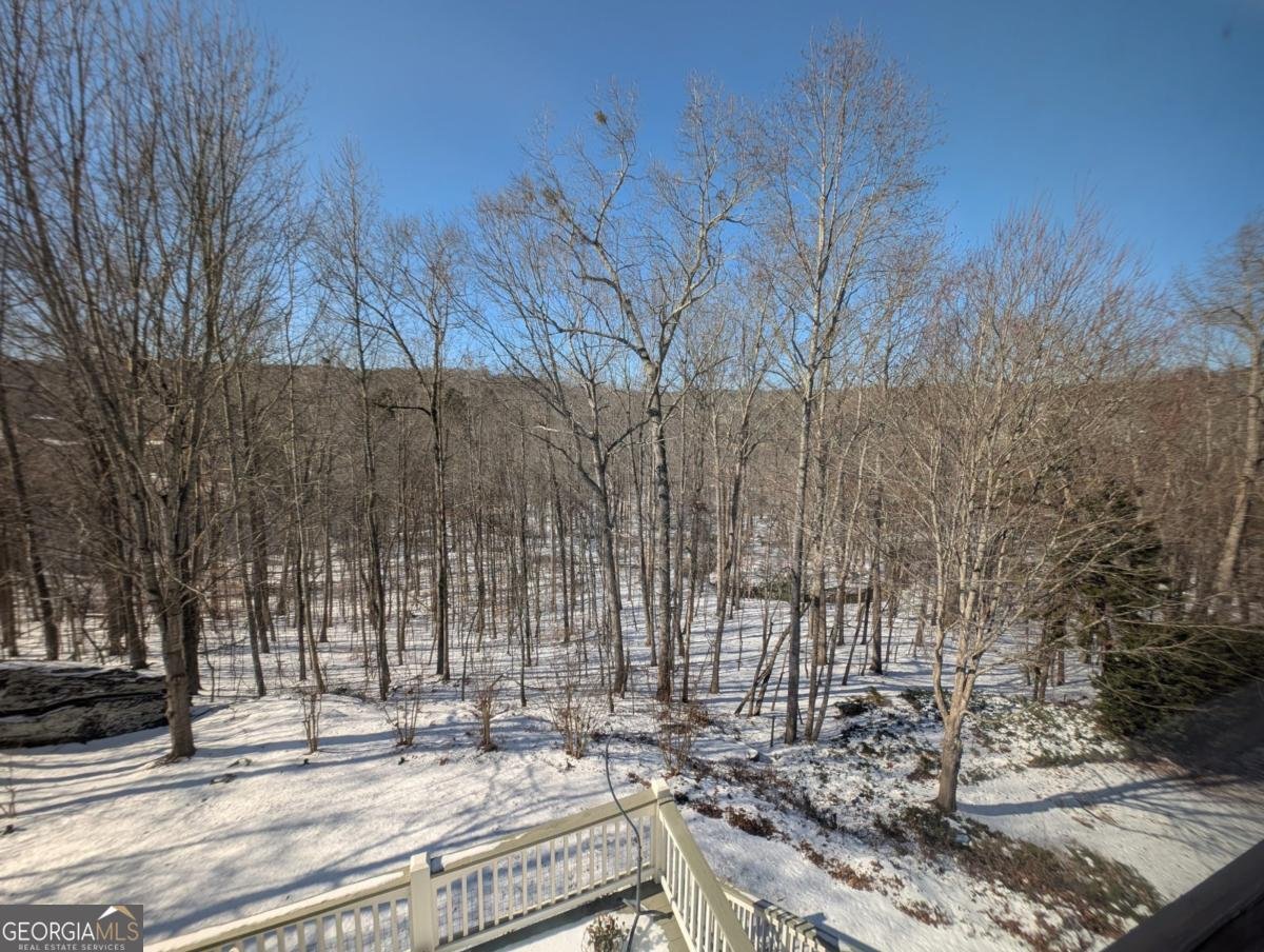 7451 Shady Glen Drive Flowery Branch - Photo 58