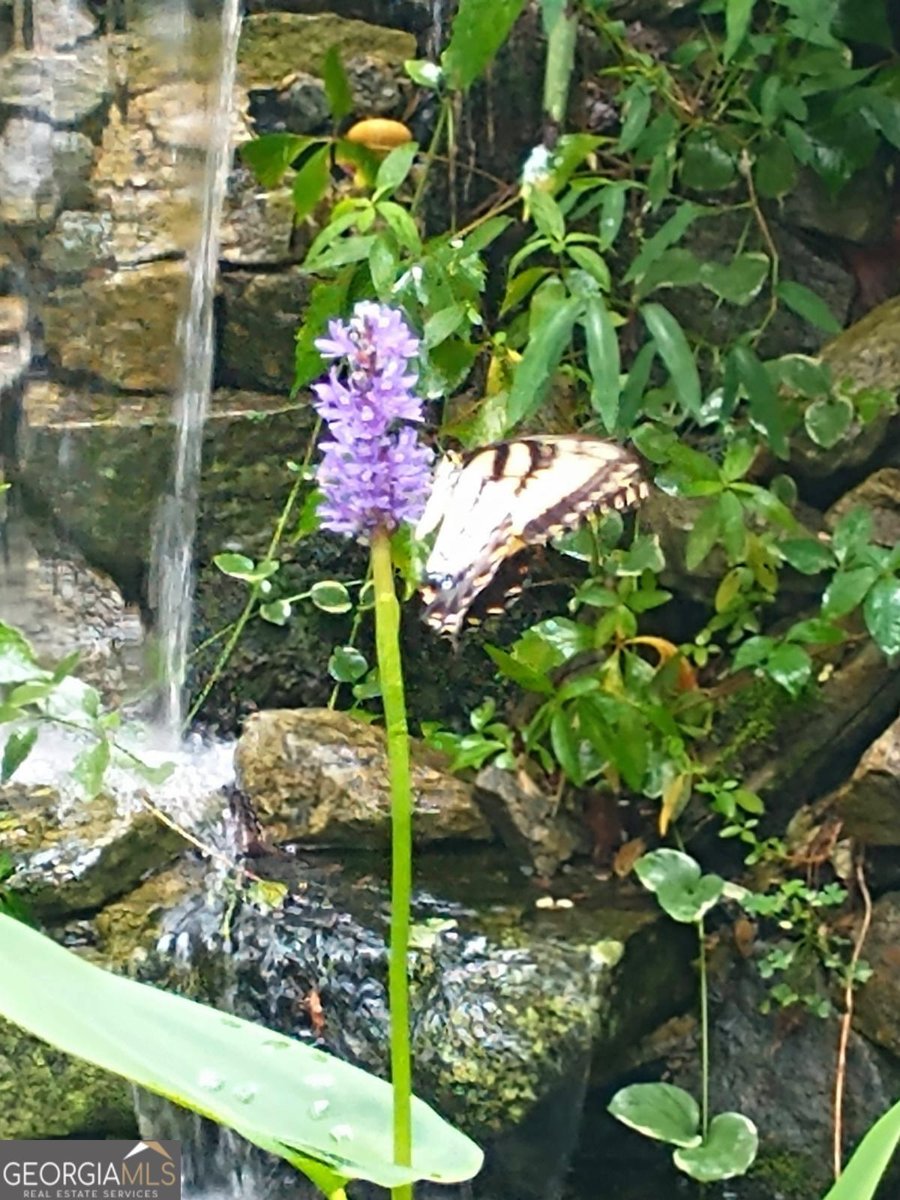 7451 Shady Glen Drive Flowery Branch - Photo 6