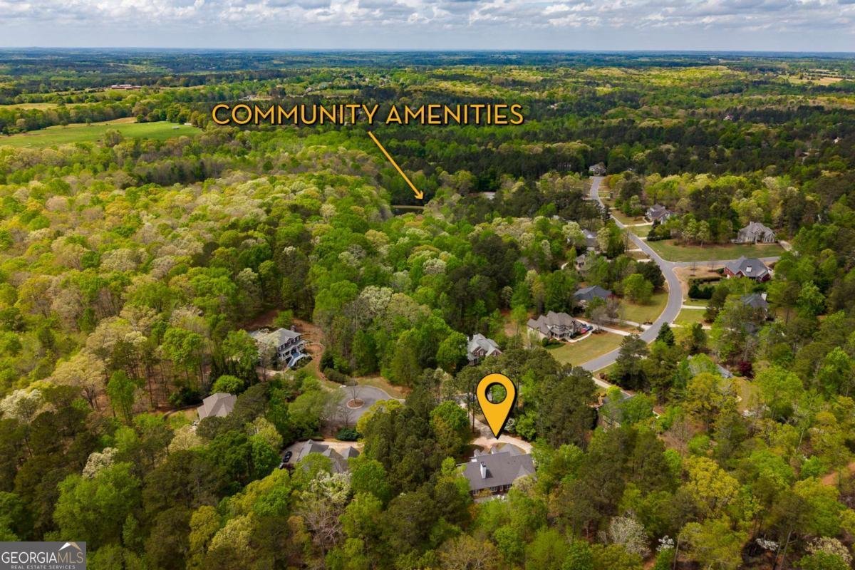 1171 Spring Lake Drive Bishop - Photo 59