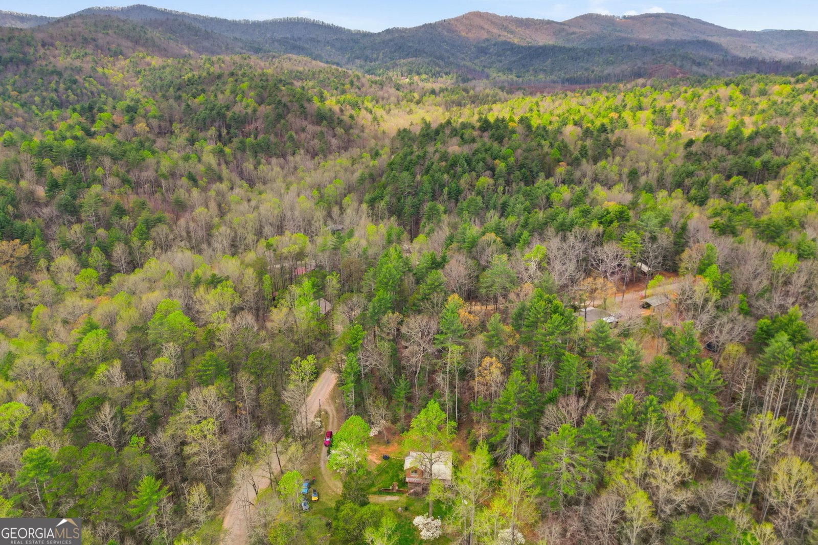 3126 Rodgers Creek Road Ellijay - Photo 11