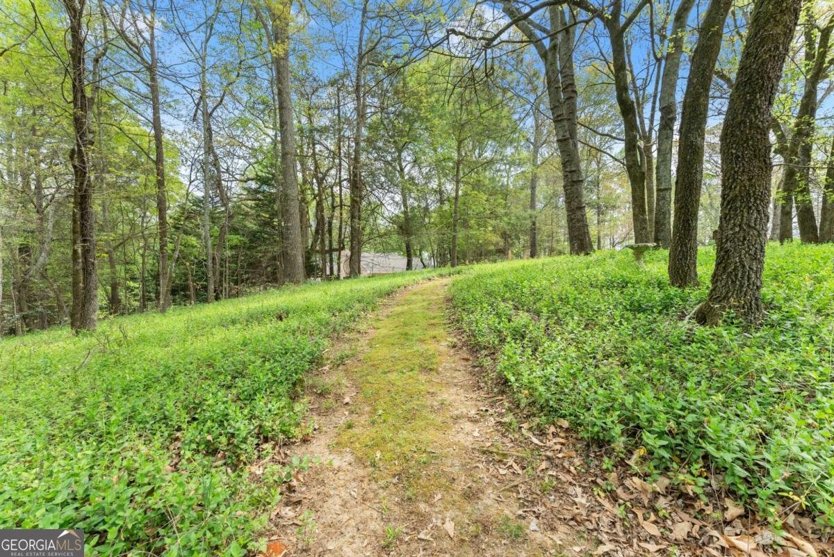 594 Peachtree Road Hoschton - Photo 85