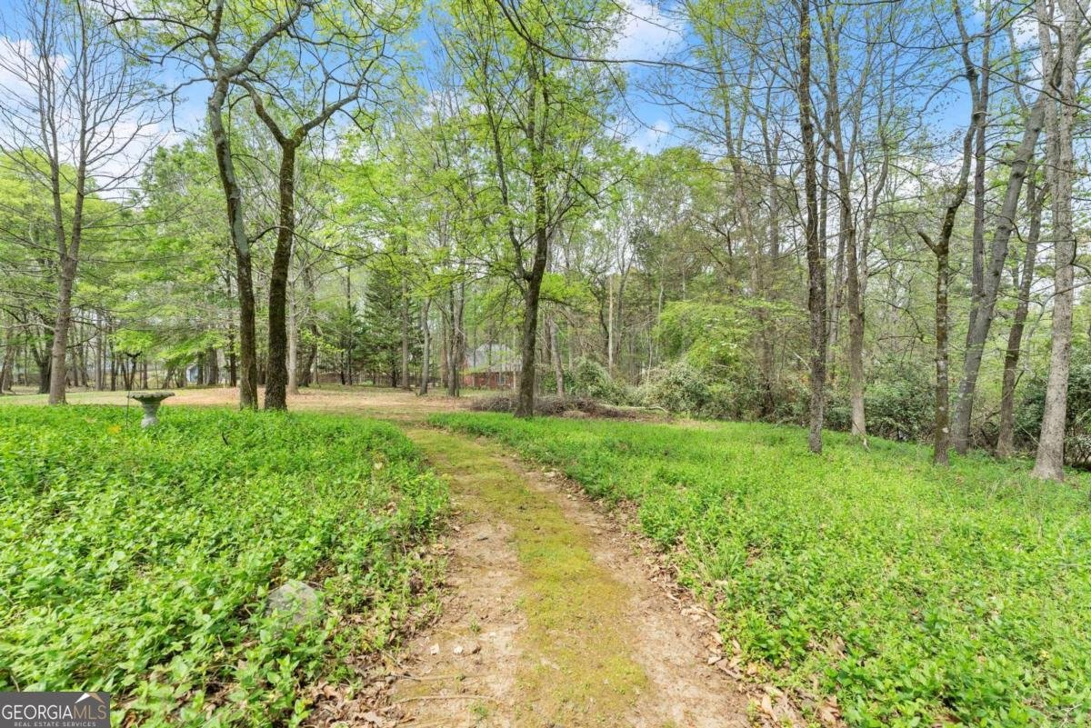 594 Peachtree Road Hoschton - Photo 86