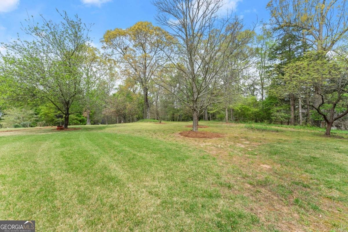 594 Peachtree Road Hoschton - Photo 87