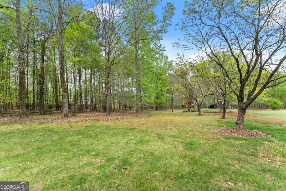 594 Peachtree Road Hoschton - Photo 89