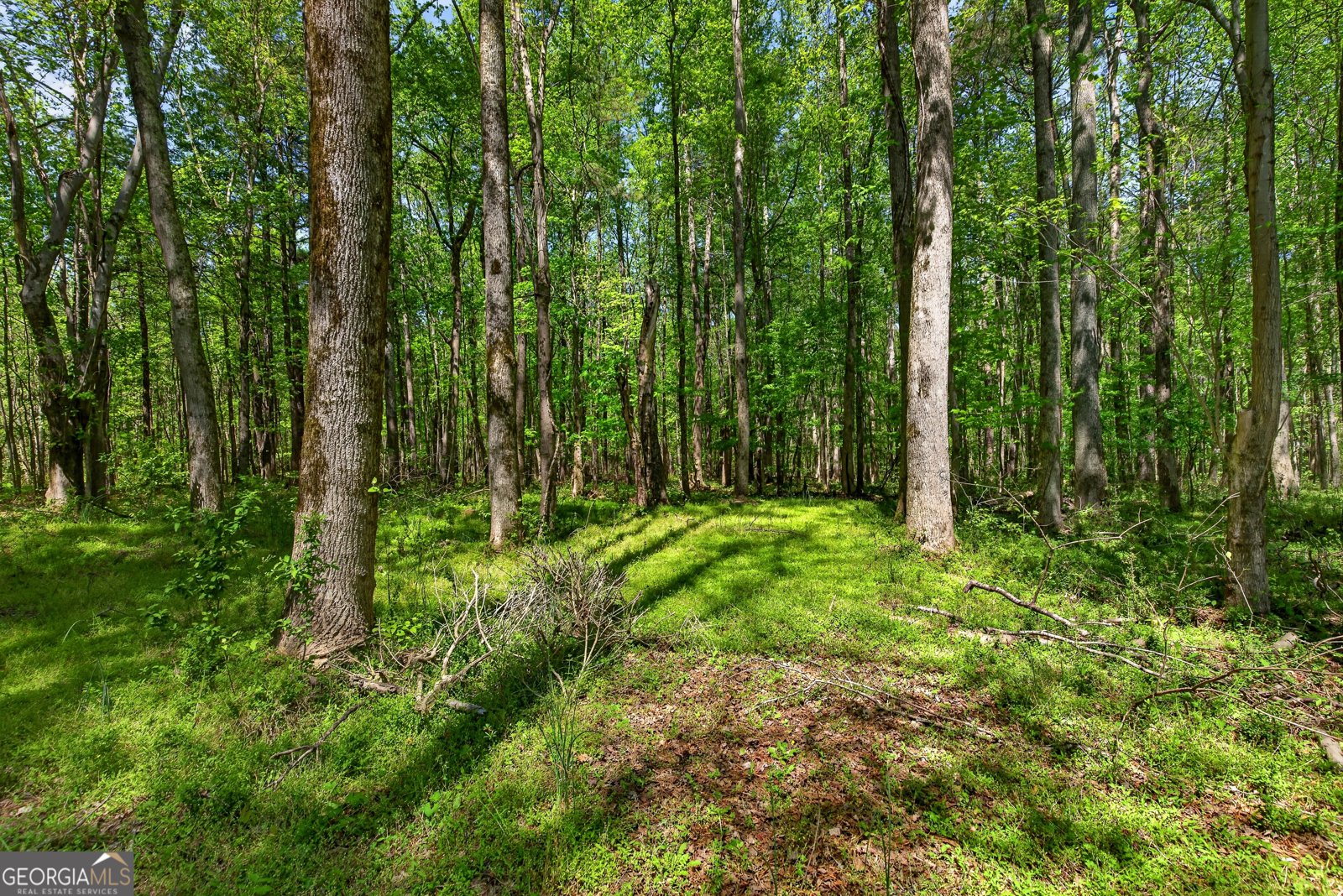 208 Thompson Road Tyrone - Photo 15