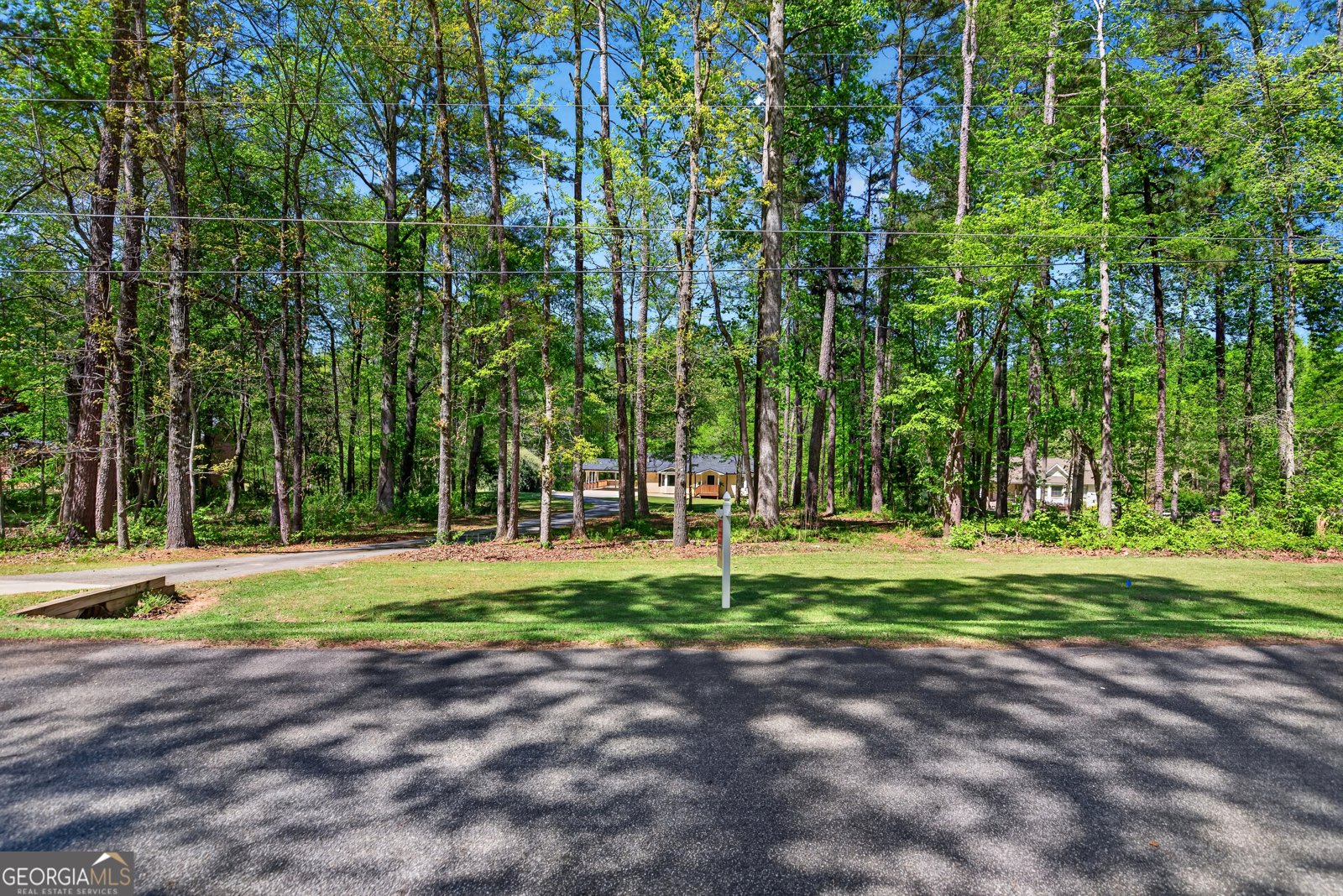 208 Thompson Road Tyrone - Photo 19