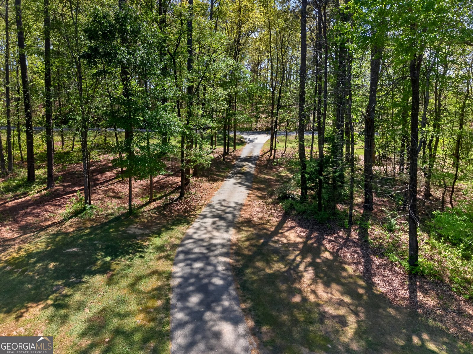 208 Thompson Road Tyrone - Photo 27