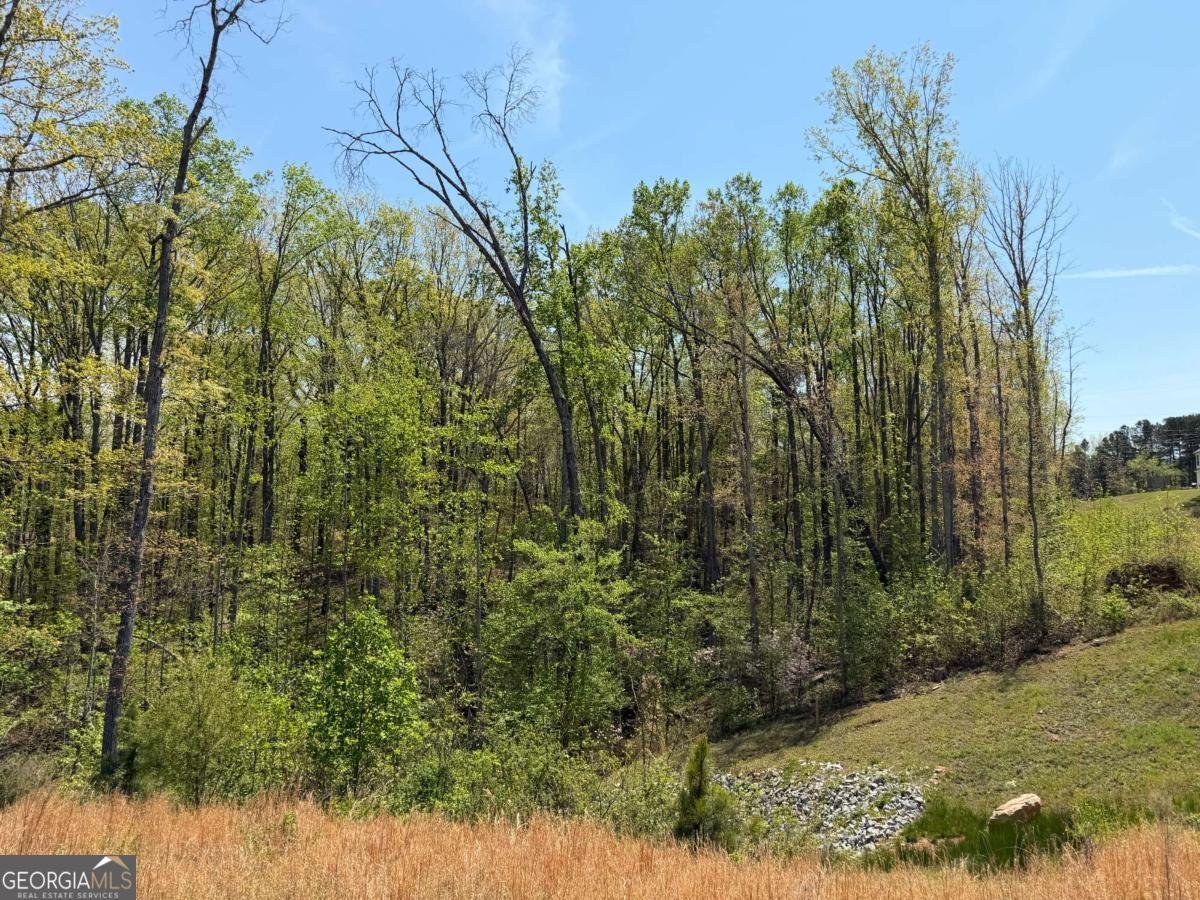 908 Daylilly Hill Bremen - Photo 25