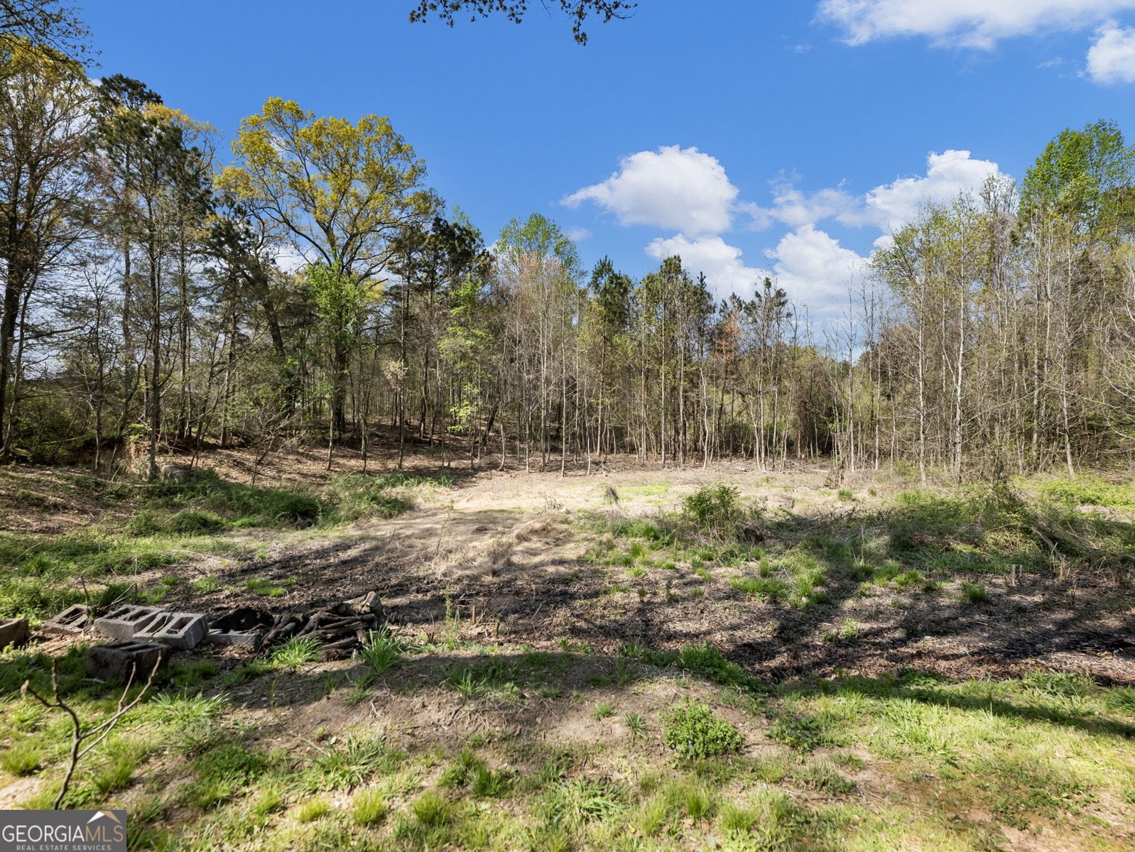 83 Kings Drive Braselton - Photo 74