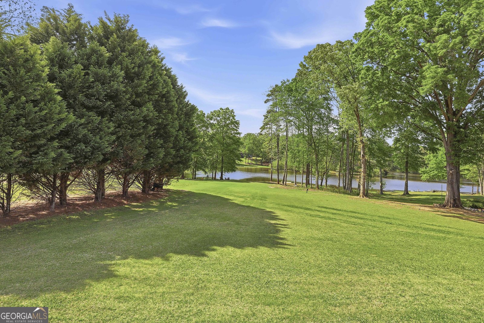 110 Lake Park Court Sharpsburg - Photo 53