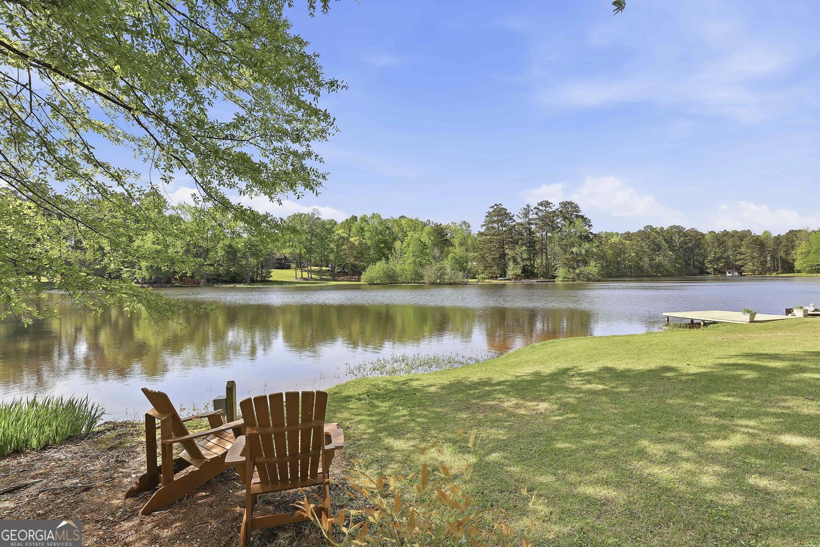 110 Lake Park Court Sharpsburg - Photo 58