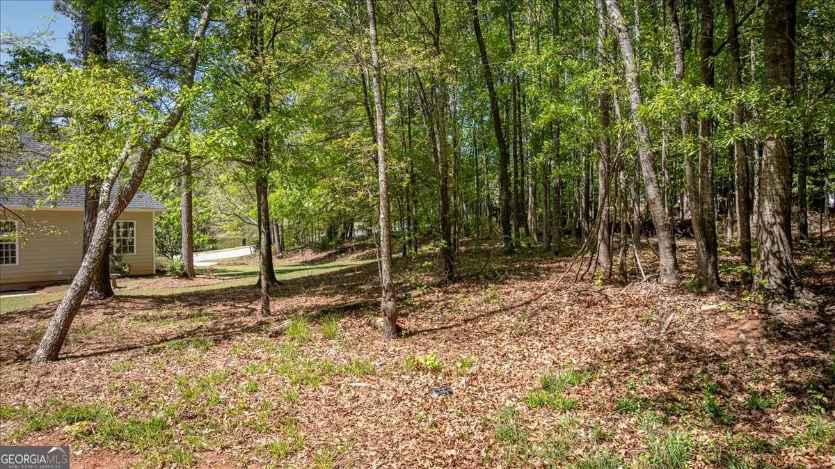 257 Carrington Drive Athens - Photo 54