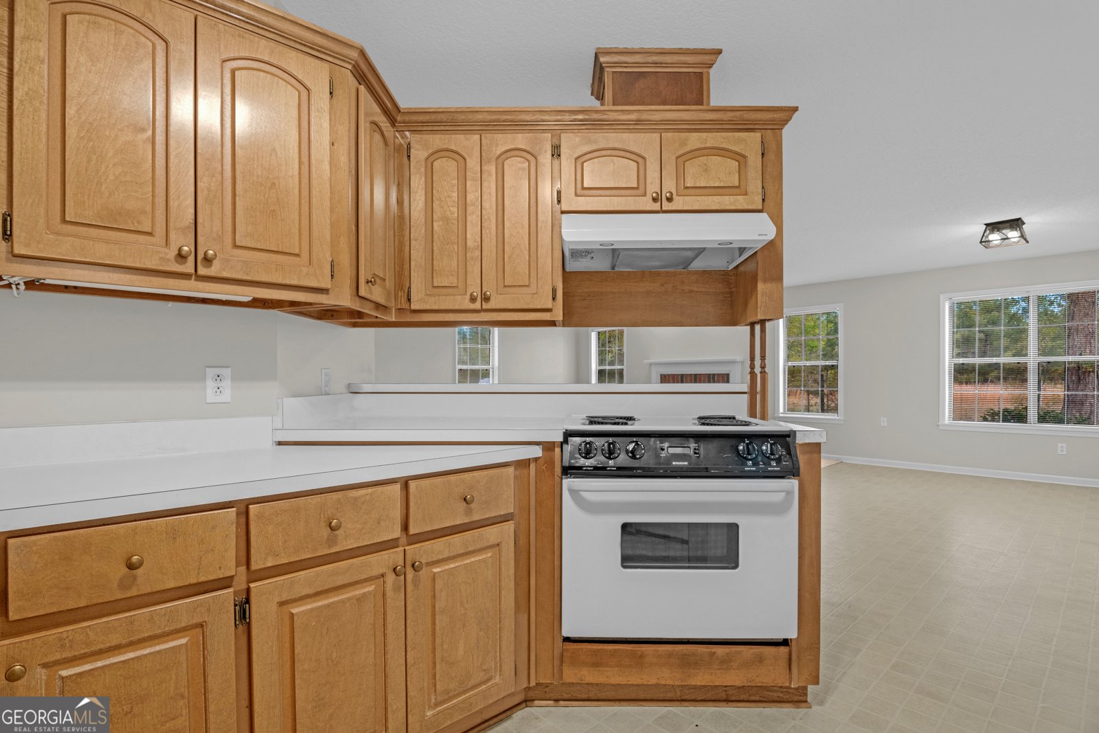 52 Northgate Lane Collins - Photo 12