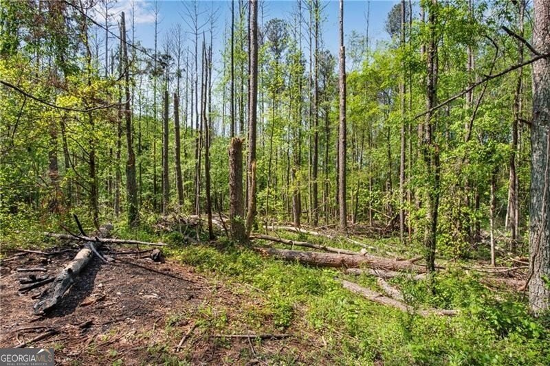 76 Beech Creek Circle Winder - Photo 43