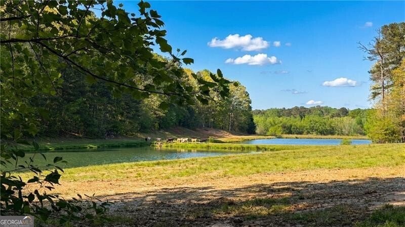 76 Beech Creek Circle Winder - Photo 46