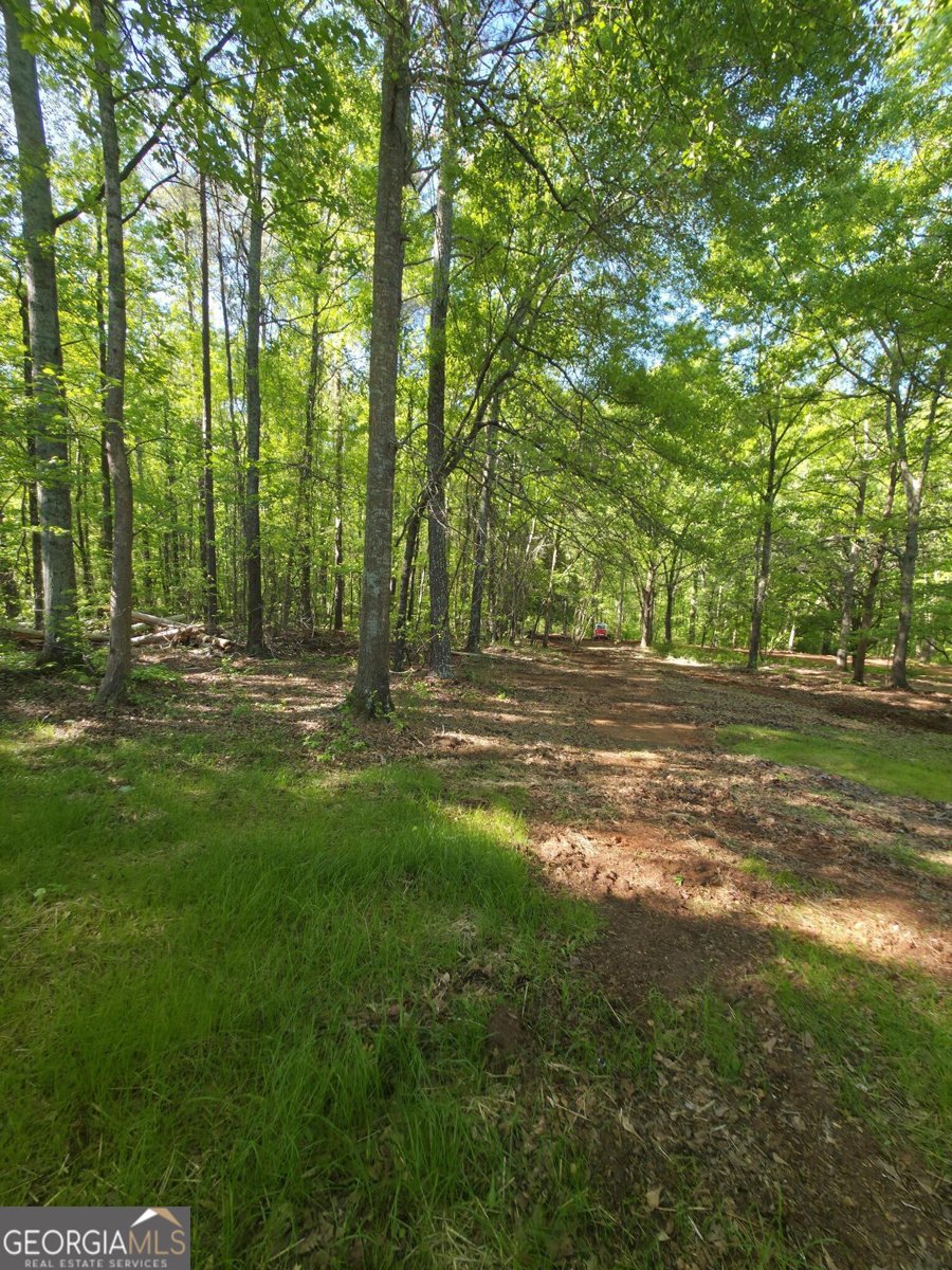 866 Smithonia Road Winterville - Photo 21