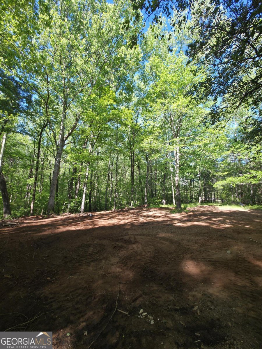 866 Smithonia Road Winterville - Photo 23