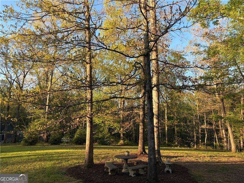 402 Hunters Court Ball Ground - Photo 37