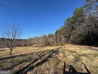 1638 New Stansbury Road Turtletown - Photo 41