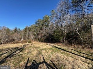 1638 New Stansbury Road Turtletown - Photo 42