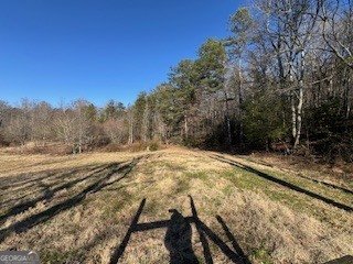 1638 New Stansbury Road Turtletown - Photo 43