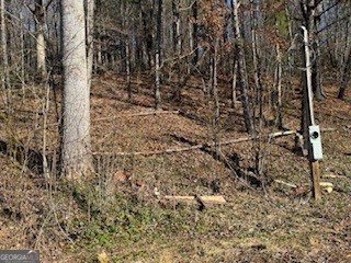 1638 New Stansbury Road Turtletown - Photo 44