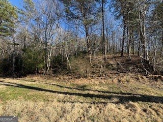 1638 New Stansbury Road Turtletown - Photo 45