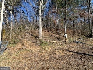 1638 New Stansbury Road Turtletown - Photo 46