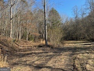 1638 New Stansbury Road Turtletown - Photo 47