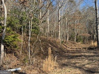 1638 New Stansbury Road Turtletown - Photo 48